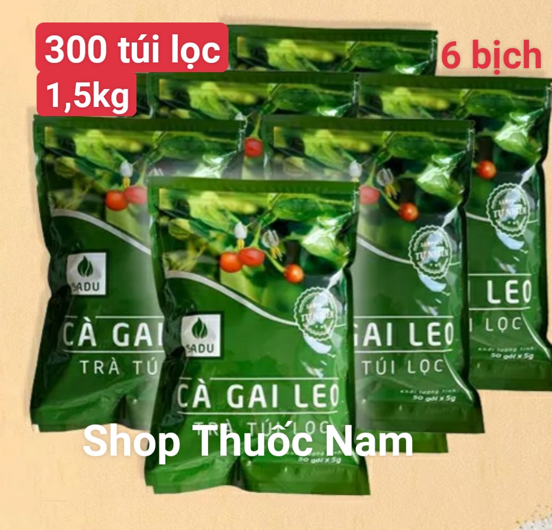 6 bịch (1,5kg) gồm 300 túi lọc cà gai leo Sadu
