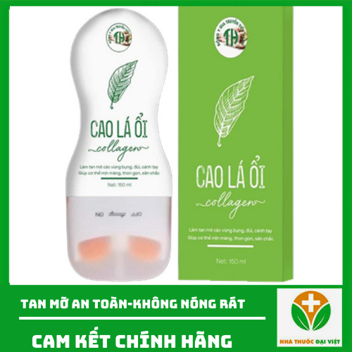 Lăn tan mỡ Cao lá Ổi Tiến hạnh tan mỡ hiệu quả
