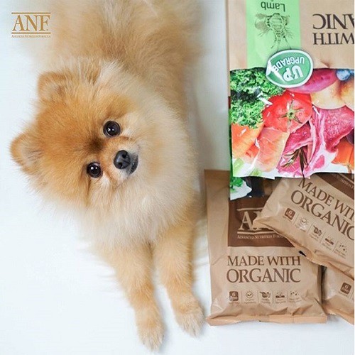 Hạt hữu cơ anf organic cho chó gói nhỏ 200g