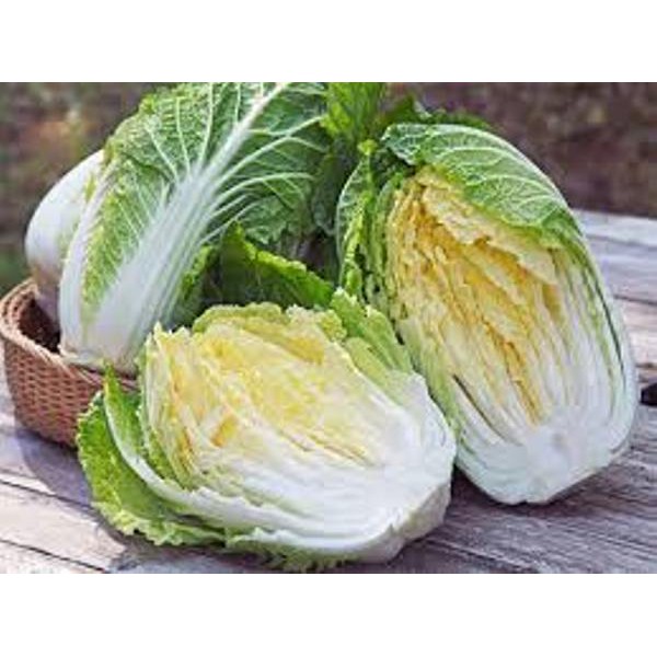Ma29f gói hạt giống cải thảo năng suất, giòn, ngọt, giàu dinh dưỡng gói 50 hạt giống mới chịu nhiệt 4 mùa