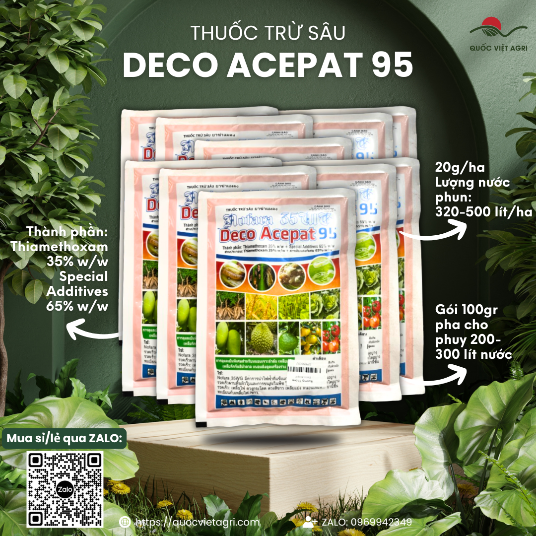   Combo 10 gói  Thuốc trừ sâu rầy DECO ACEPAT 95SG  gói 100g  - Thiamethoxam 35% w w Trị bọ trĩ hại lúa 