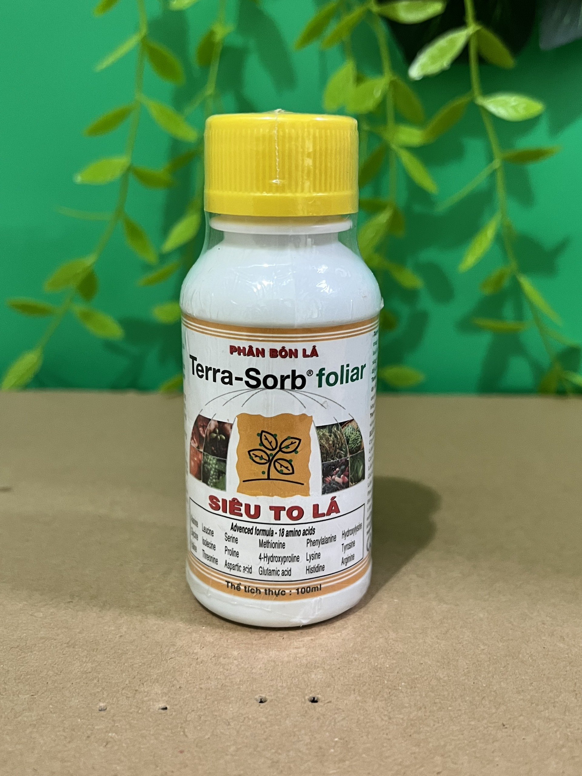 Phân bón lá cao cấp siêu to lá Terra-sorb foliar chai 100ml dành cho phong lan