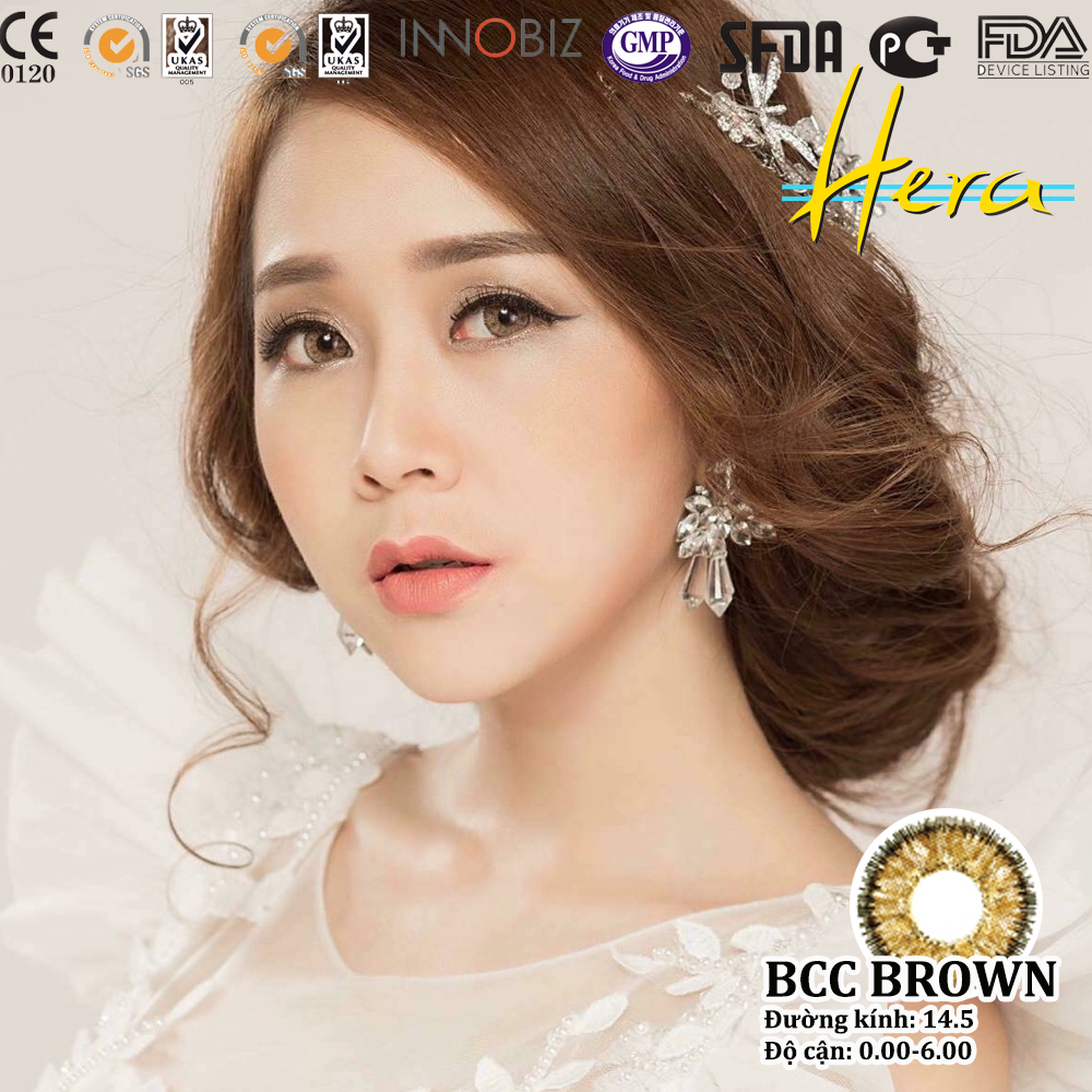 Kính áp tròng 6 tháng bcc brown độ