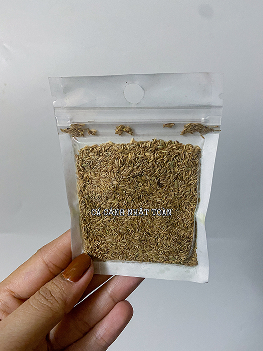 "hoàn tiền đến 10%" hạt giống thủy sinh cỏ may mắn 10g