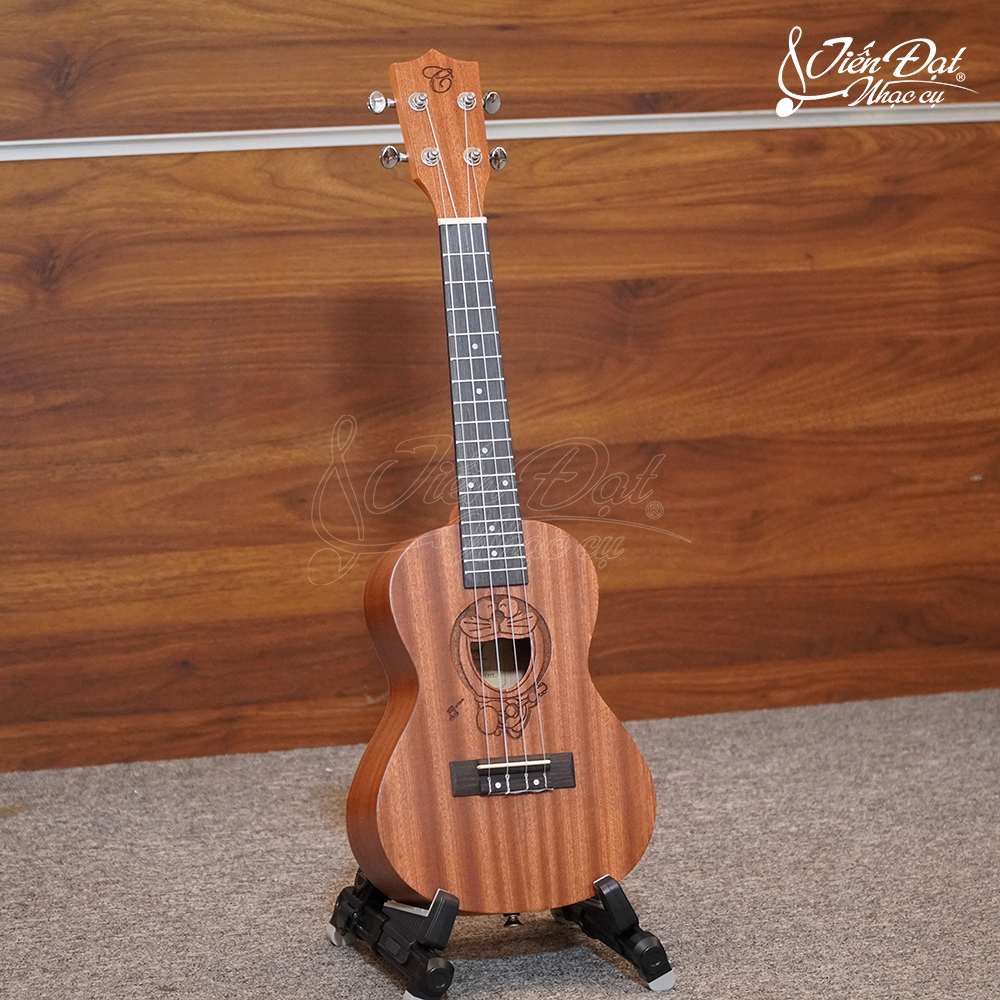 Ukulele concert chard UK-24-ta-B bearings, solid mahogany wood