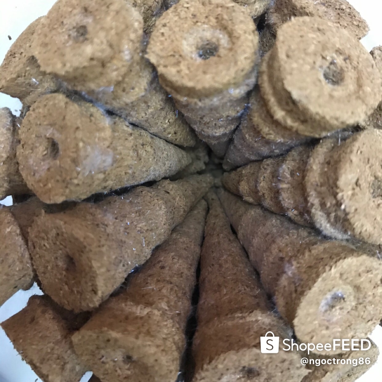 Hương trầm nụ hoàng đàn tuyết Lạng Sơn