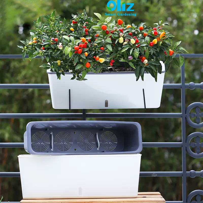 Chậu trồng cây tự tưới Oliz SC06 - Chậu trồng cây tự dưỡng, chậu nhựa trồng rau