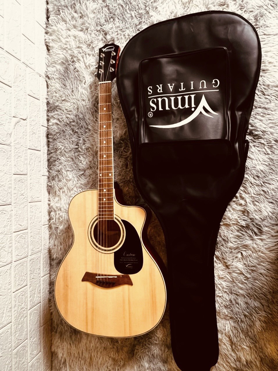 Đàn Guitar Acoustic Vimus V100A Chất lượng cho người mới tập chơi