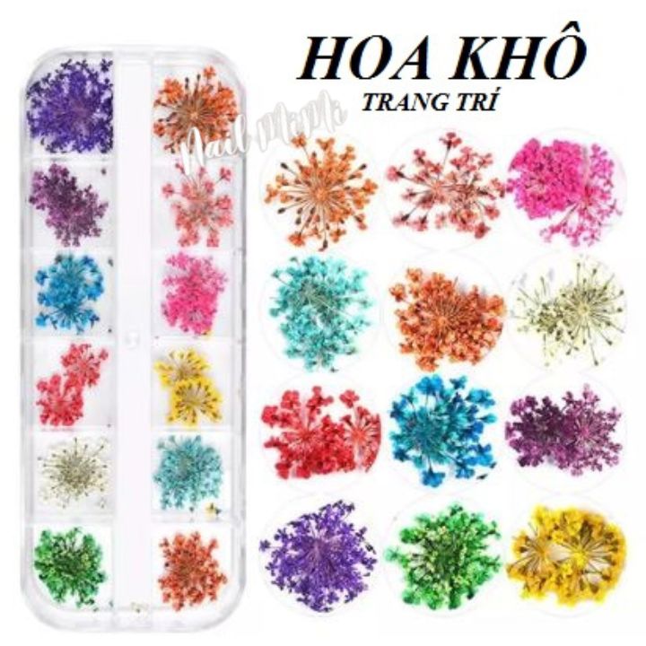 Hoa khô chùm nhỏ trang trí móng set 12 màu