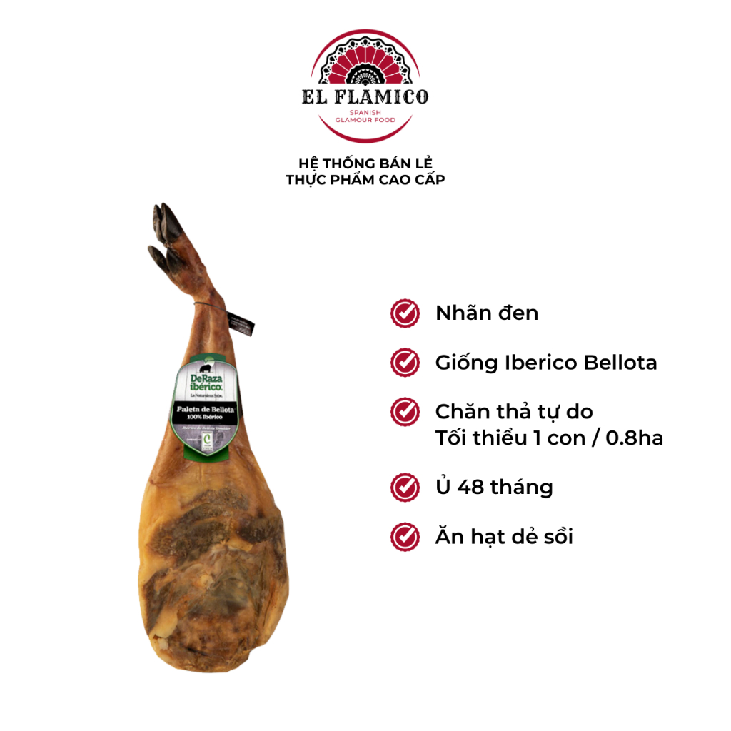Đùi trước Iberico Bellota thuần chủng nhãn đen ủ 48 tháng