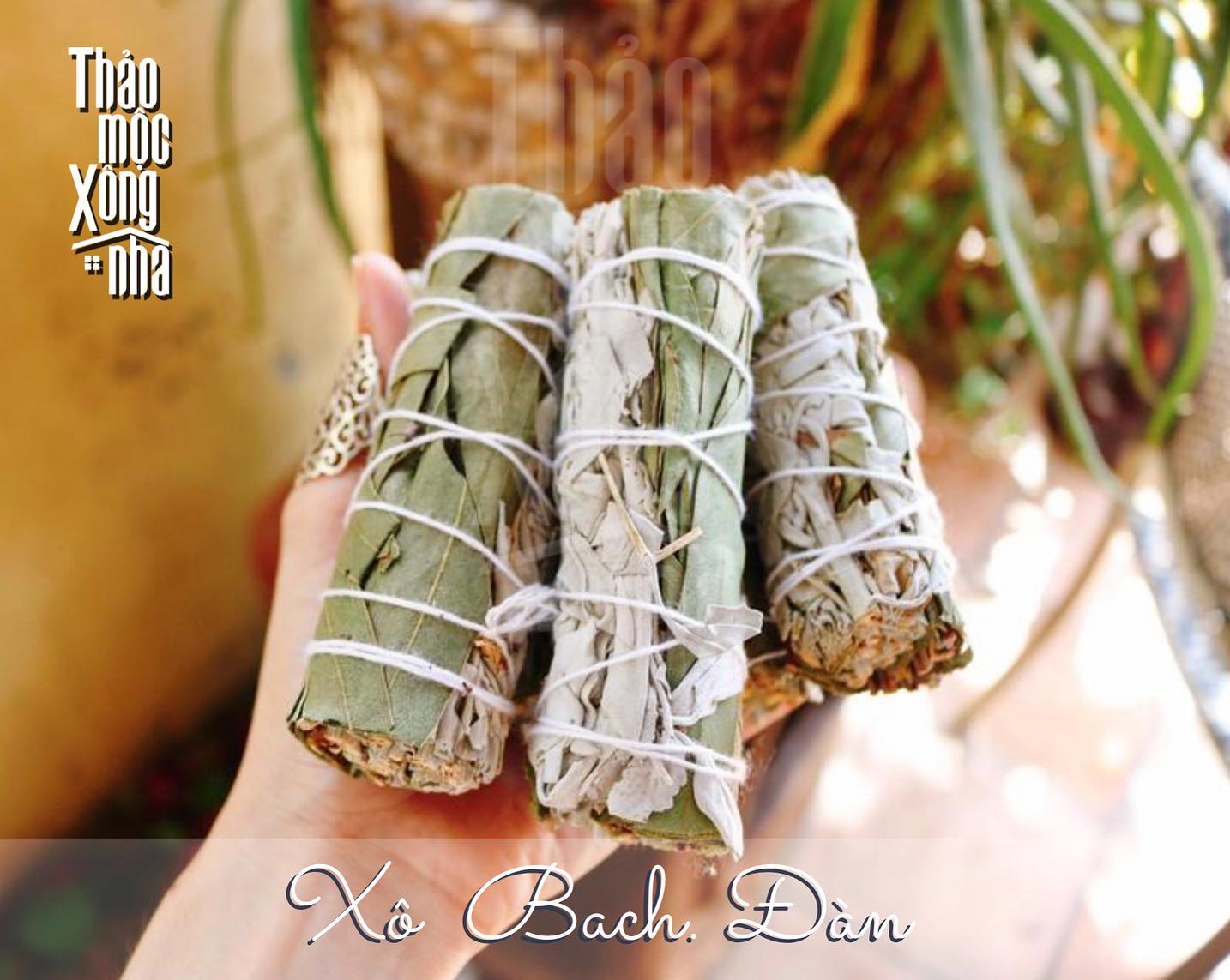 Xô bạch đàn - eucalyptus - thảo mộc xông nhà