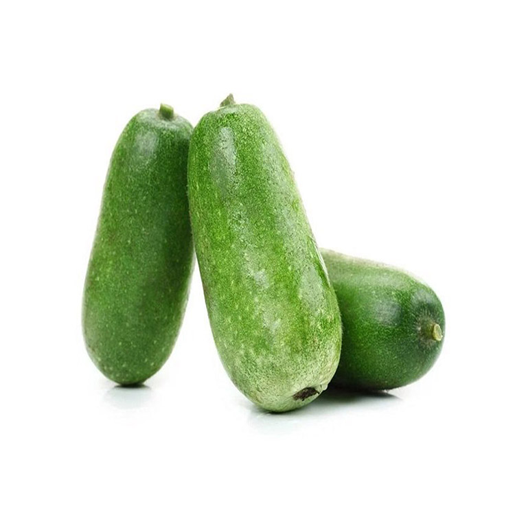 Bí Đao - Thực Phẩm Chia Sẻ