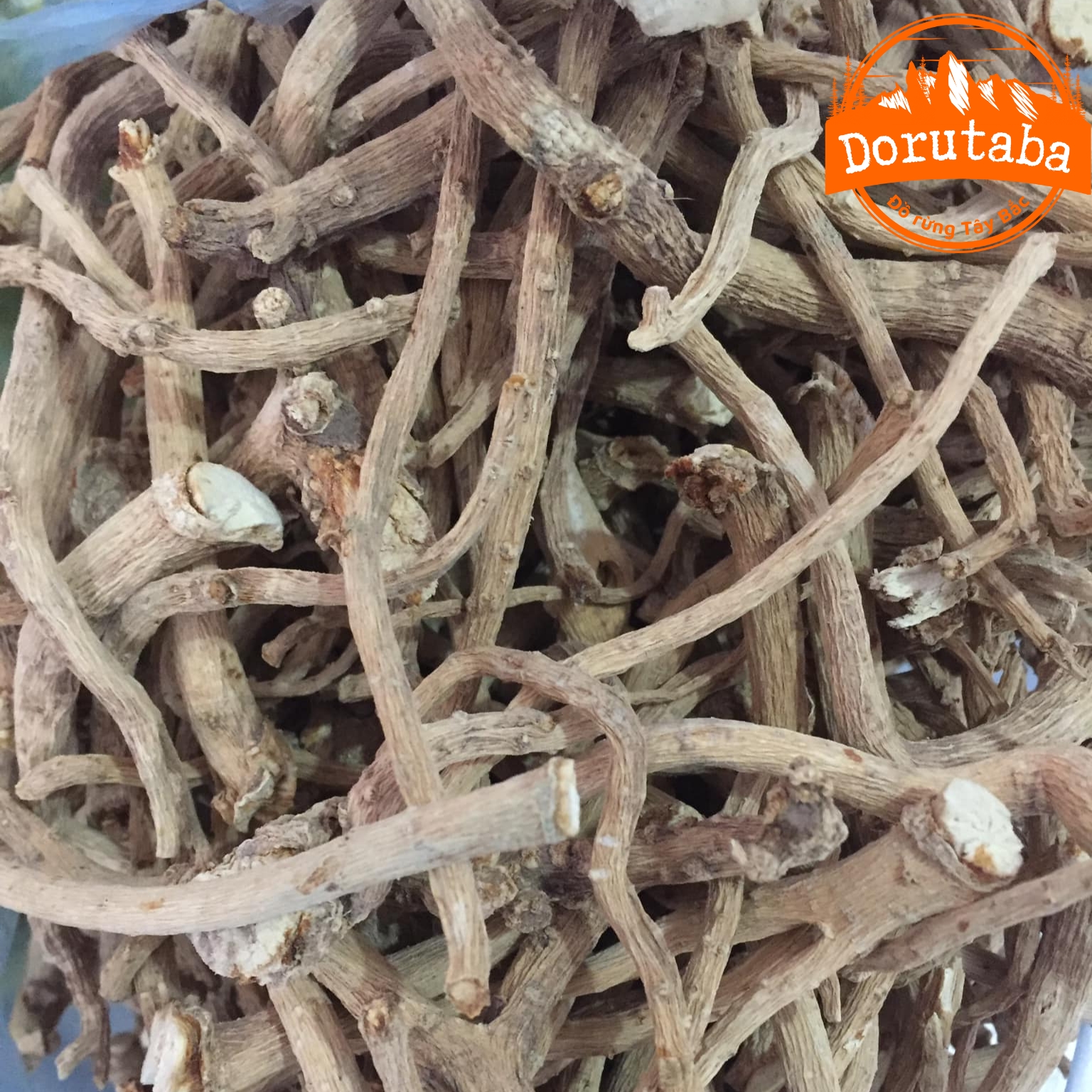 Rễ Đinh lăng Nếp khô lá nhỏ ngâm rượu, phơi khô từ củ, rễ đinh lăng nếp tươi giúp lợi sữa, thông huyết mạch, bồi bổ khí huyết