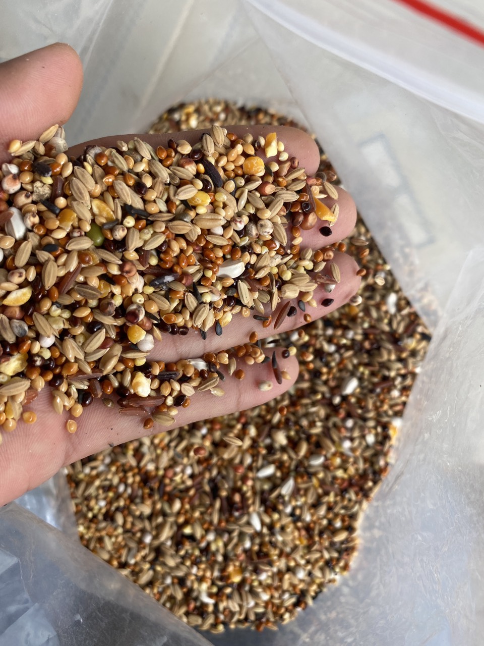 2kg hạt cỏ thái trộn 15 loại ngũ cốc dùng cho chim cu thiên nhiên 100% tăng cường dinh dưỡng cực sung