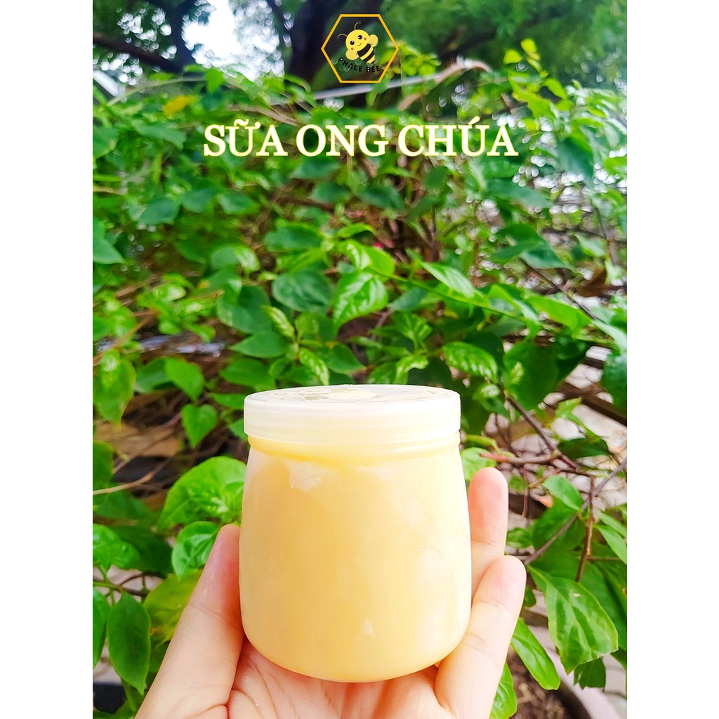 Sữa Ong Chúa Tự Nhiên Hủ Nhựa 100Gr - 200Gr Phale Bee