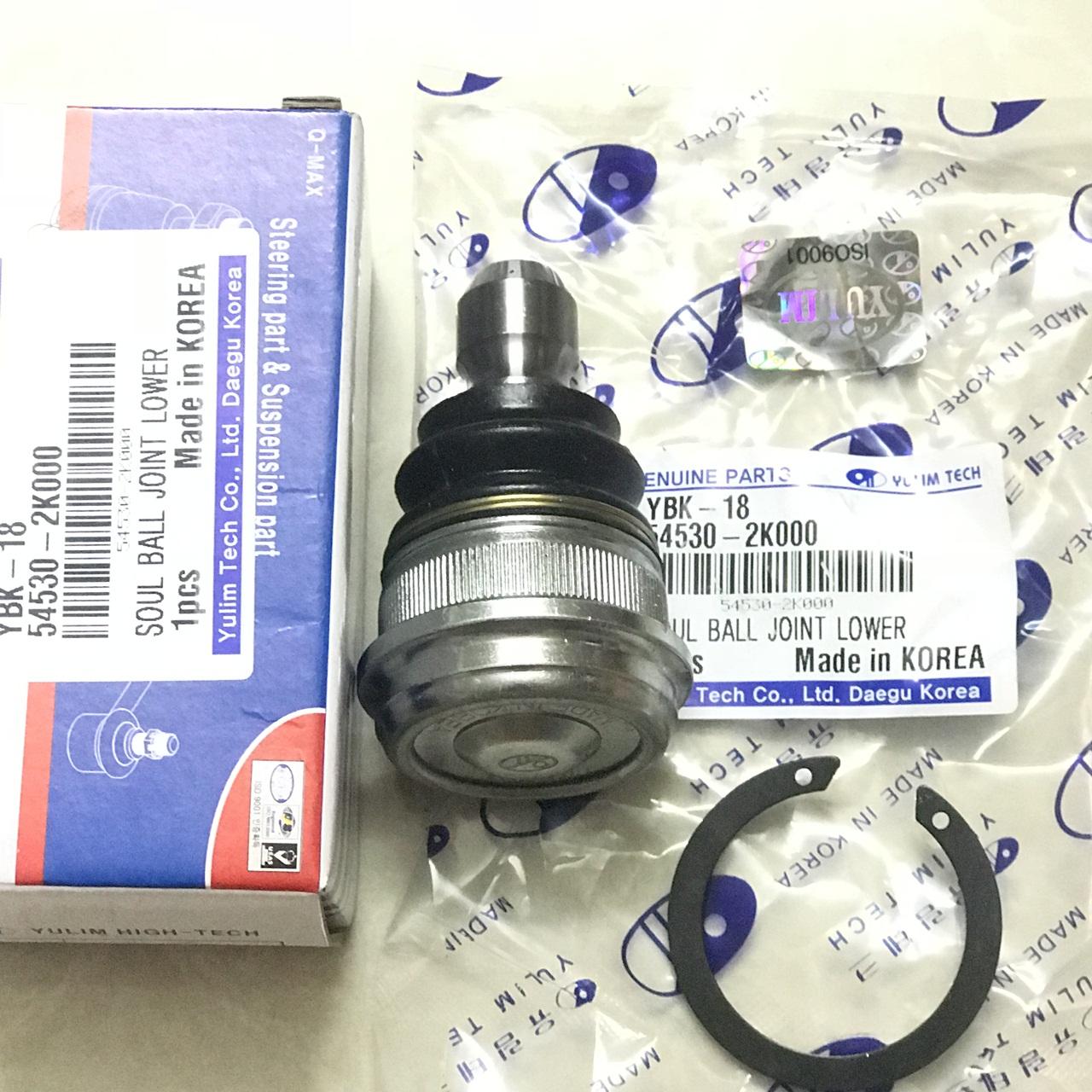Rotuyn trụ morning dưới