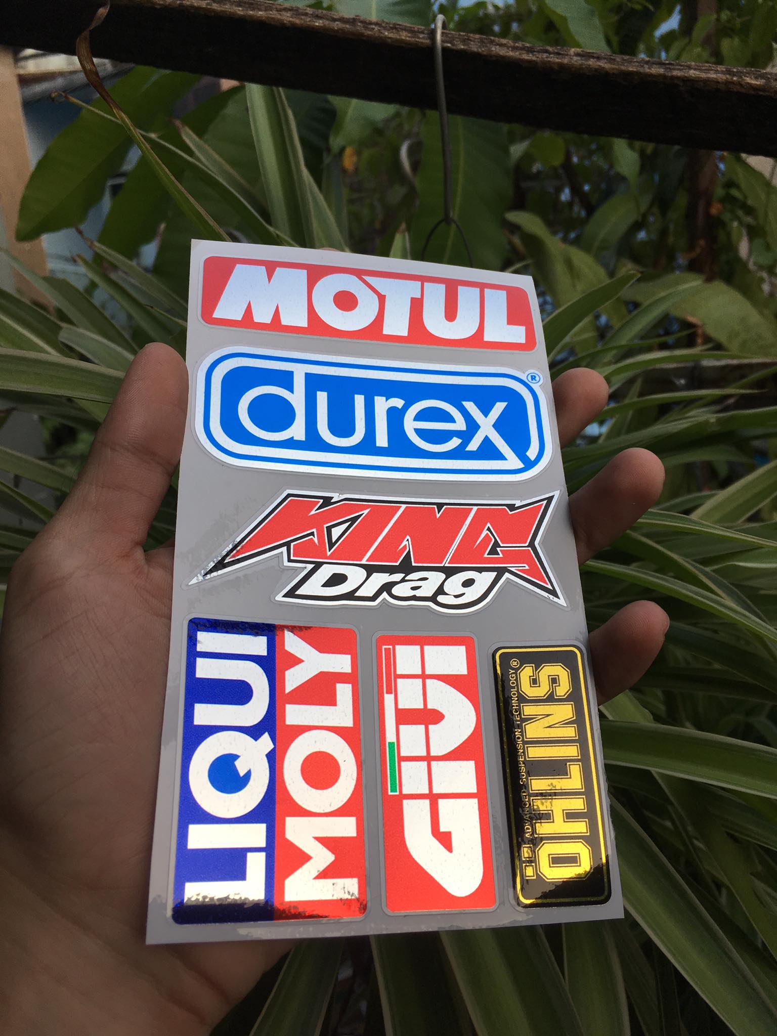 [HCM]TEM LOGO SI CROM KING DRAG MOTUL DUREX