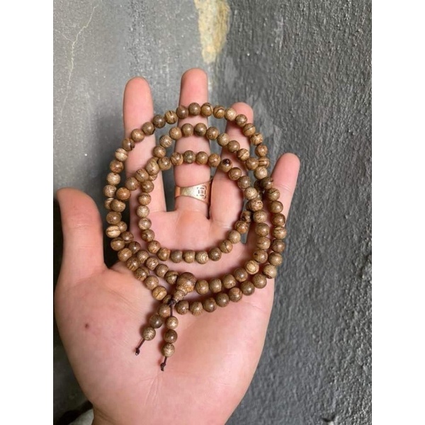 Tramhuongg 1