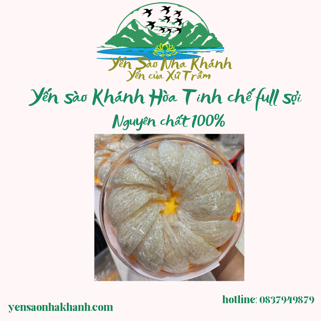 Tổ Yến Sào Tinh Chế Khánh Hòa siêu sợi dài + quà tặng