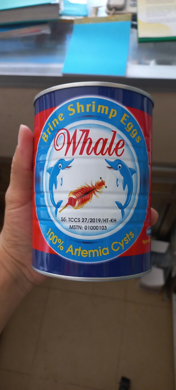 Atemia Whale tỉ ạt đỏ. nhỏ hàng usa