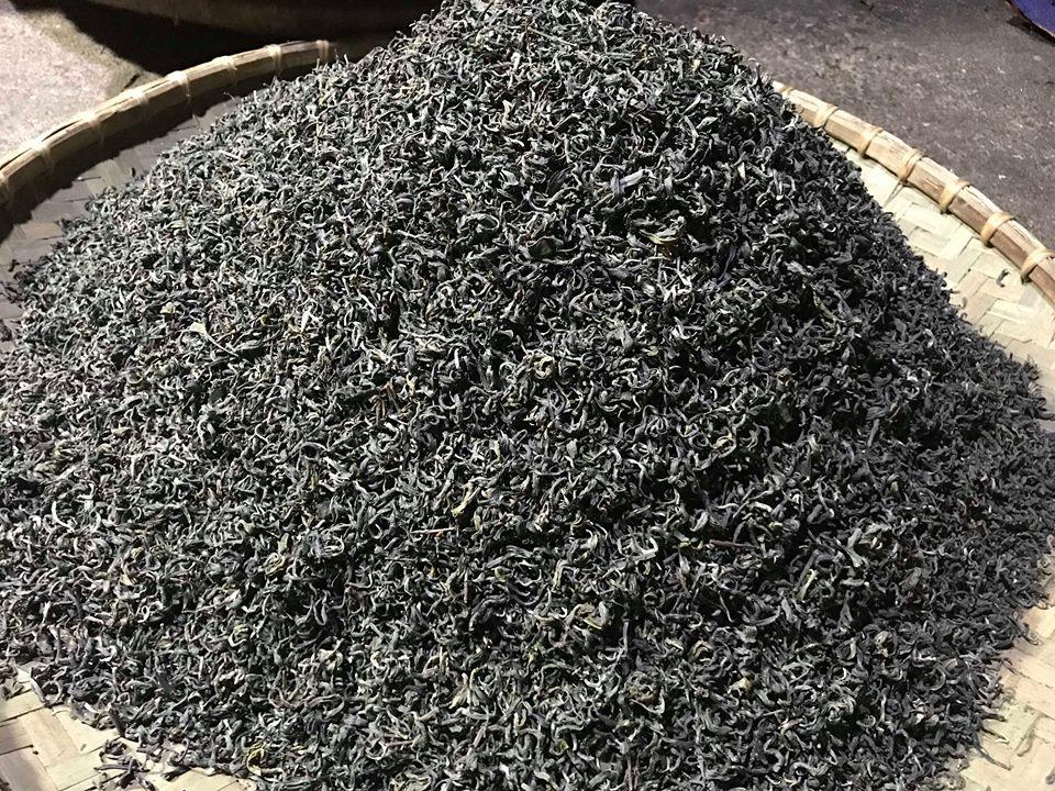 Chè Shan Tuyết Cổ Thụ + Chè Shan Tuyết, Chè Shan Tuyết Bắc Hà, Chè Shan Tuyết Bản Liền, Trà Shan Tuyết -ThanhNam89