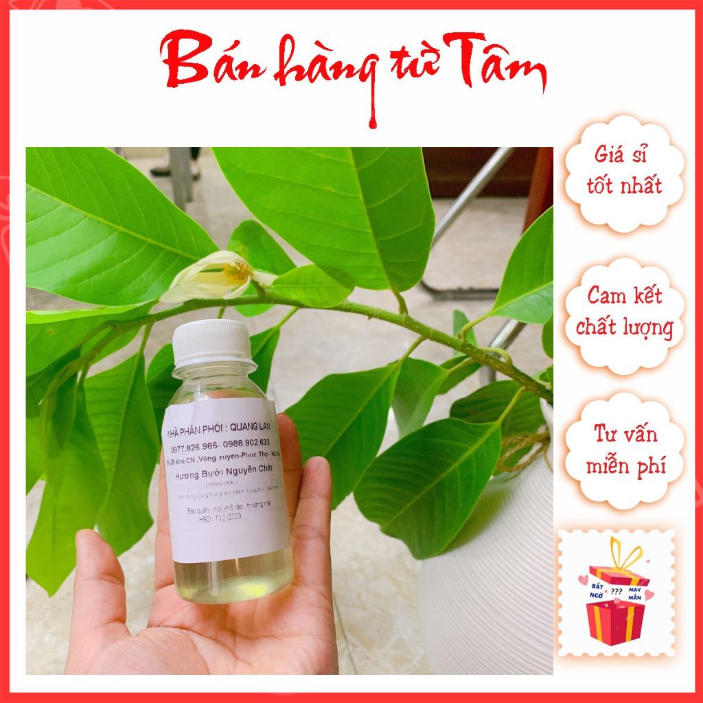 Nước hoa bưởi chưng cất đậm đặc thơm ngon chuẩn vị làm bánh trung thu/ Nguyên liệu làm bánh trung thu 2022