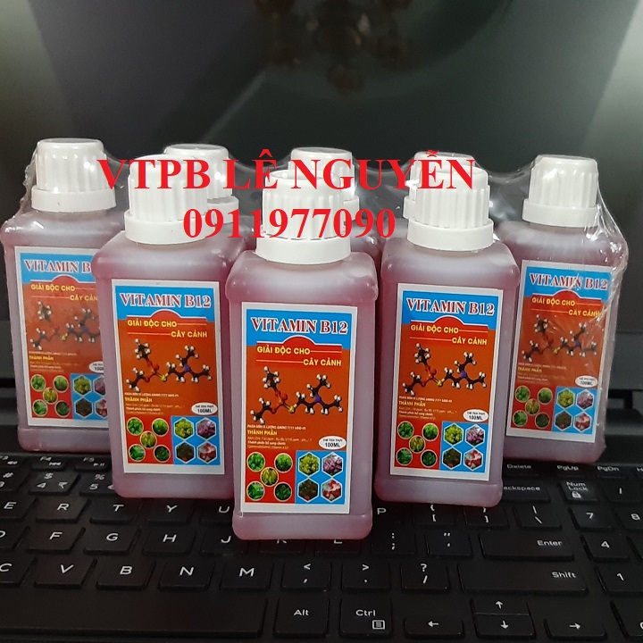 Vitamin B12 -  Cho lan