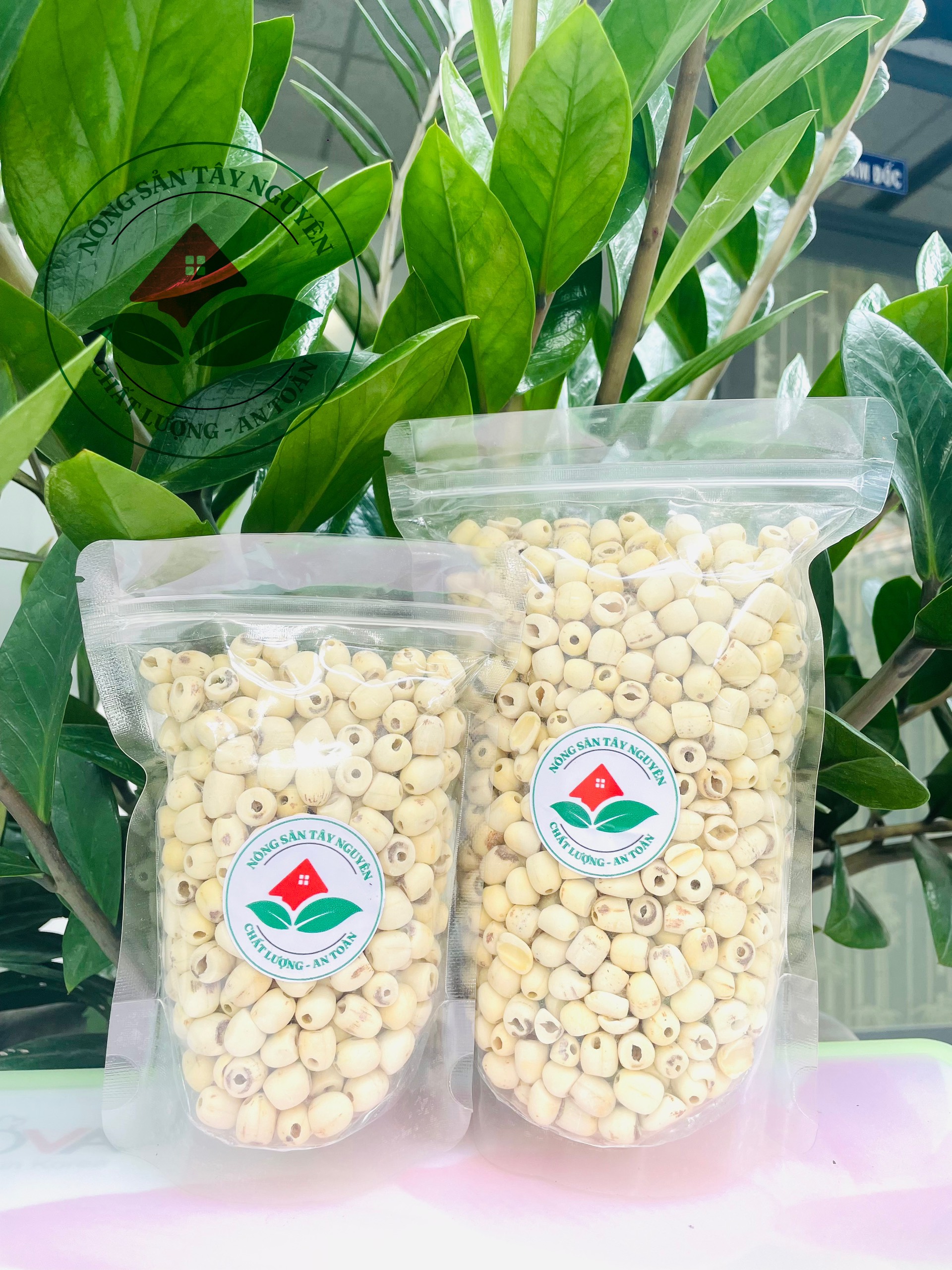 Hạt sen khô đồng tháp 500gr sấy khô đặc biệt