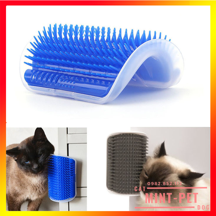 Đồ Chơi Cọ Má Mát Xa Gắn Tường Cho Mèo - Kèm Cỏ Mèo Catnip