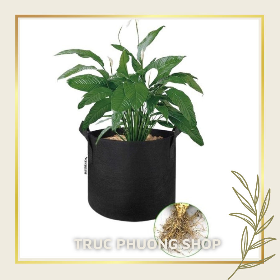 Túi vải trồng cây,chậu vải trồng hoa, trồng rau củ quả, chậu vải siêu bền có quai cầm màu đen có 4 kích thước