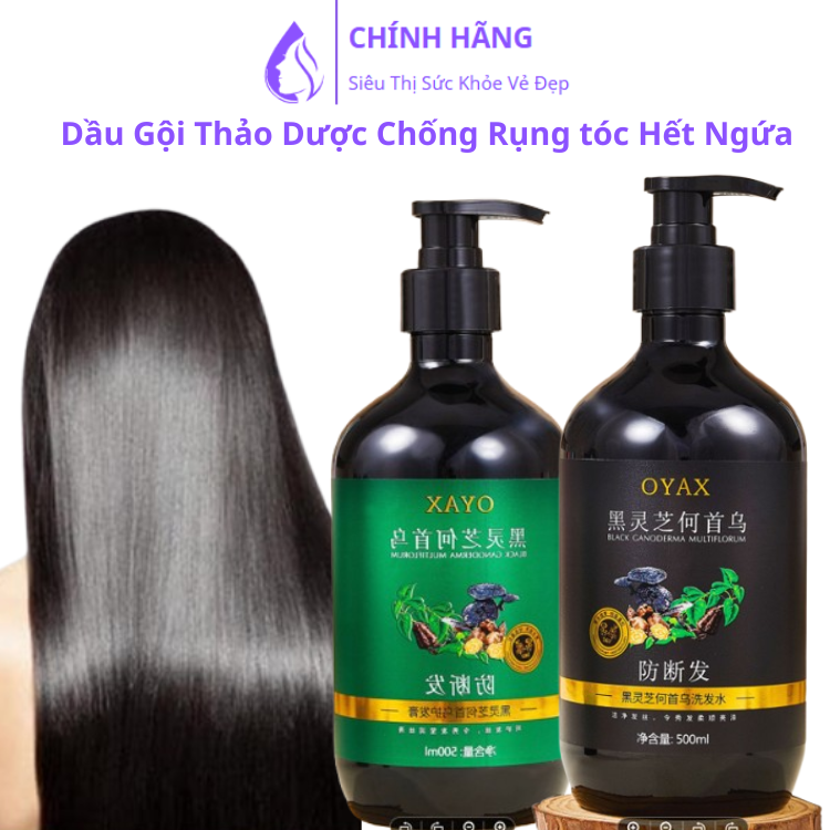 Dầu Gội Dược Hà Thủ Ô Nấm Linh Chi 500ml giảm rụng tóc giảm bạc tóc kích thích mọc tóc Dầu gội thảo dược Hà Thủ Ô
