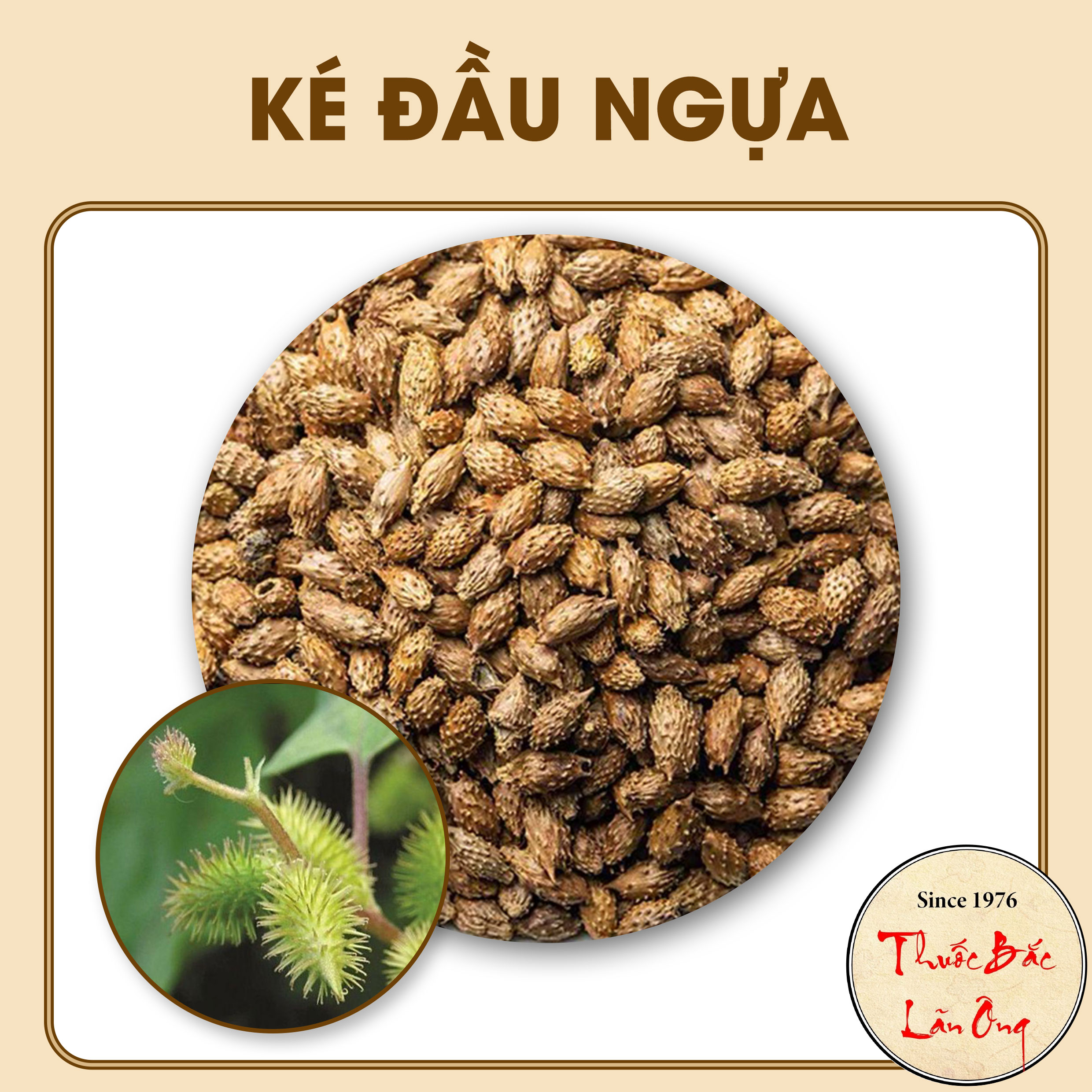 Horse head skin 500g, dried horse head skin, clean, no thorns, no impurities - lan ong