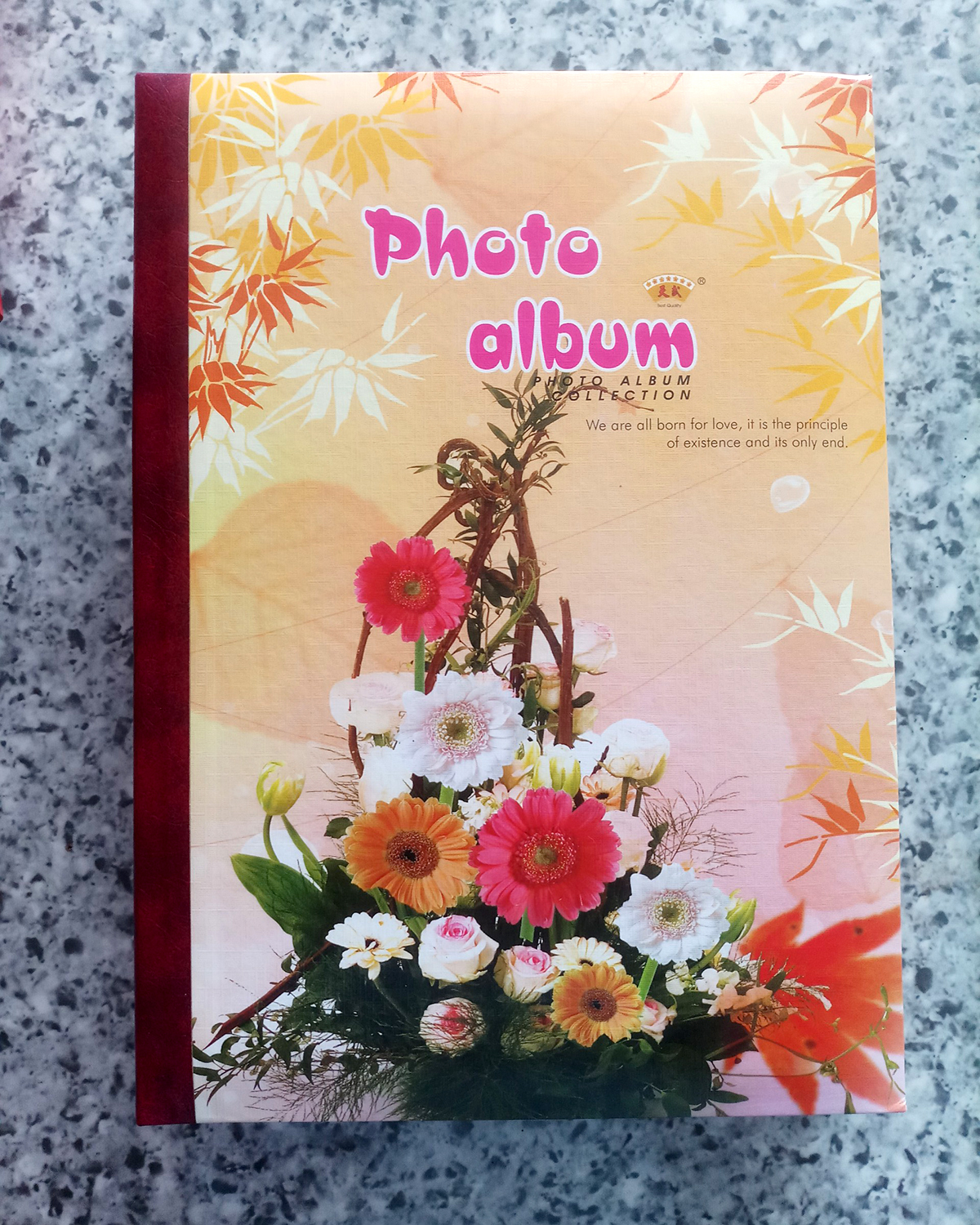Album đựng hình 13x18 (40 hình). Giao màu album ngẫu nhiên.