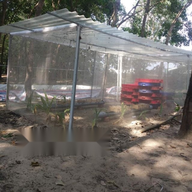 Mùng nuôi ruồi lính đen 5x3x2,5