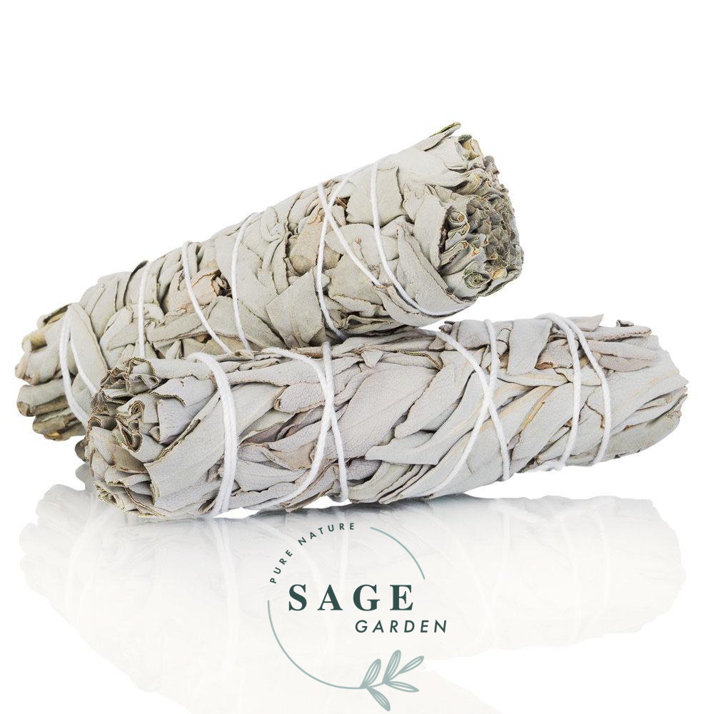 Xô Thơm Trắng (White Sage)_THANH TẨY NHÀ CỬA_SAGE GARDEN