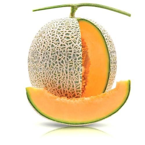 0.5Gr HẠT GIỐNG DƯA LƯỚI F1 SV 501