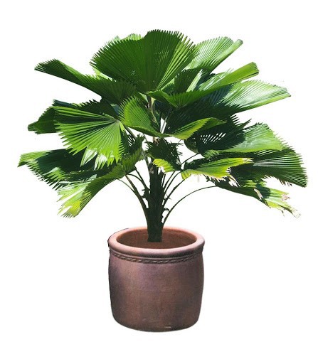 pnepdJKYbqK663vMQ9On_simg_d0daf0_800x1200_max.jpg