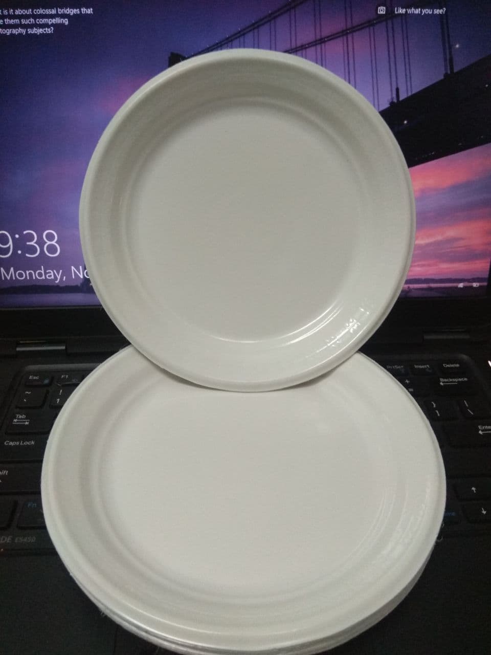 Dĩa nhựa bánh kem, bánh sinh nhật, bánh kẹo, trái cây dĩa nhựa dùng 1 lần