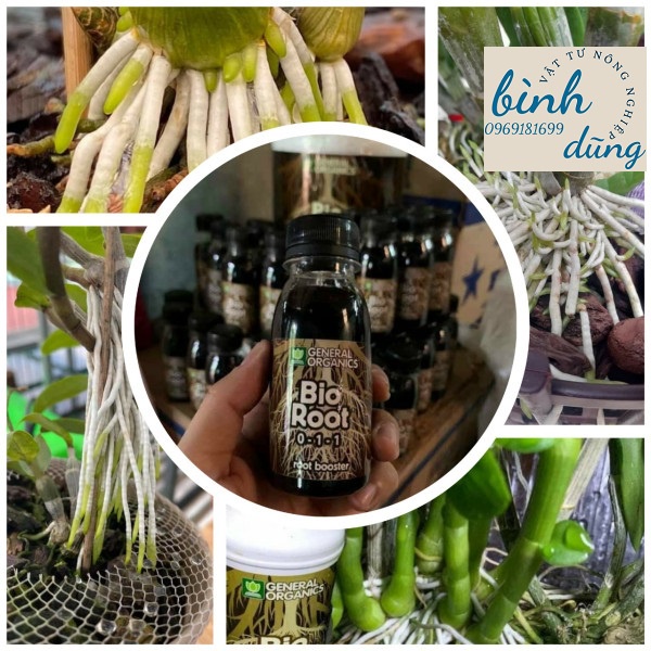 Kích rễ bio root 0-1-1 siêu kích rễ bio root cho lan 100ml