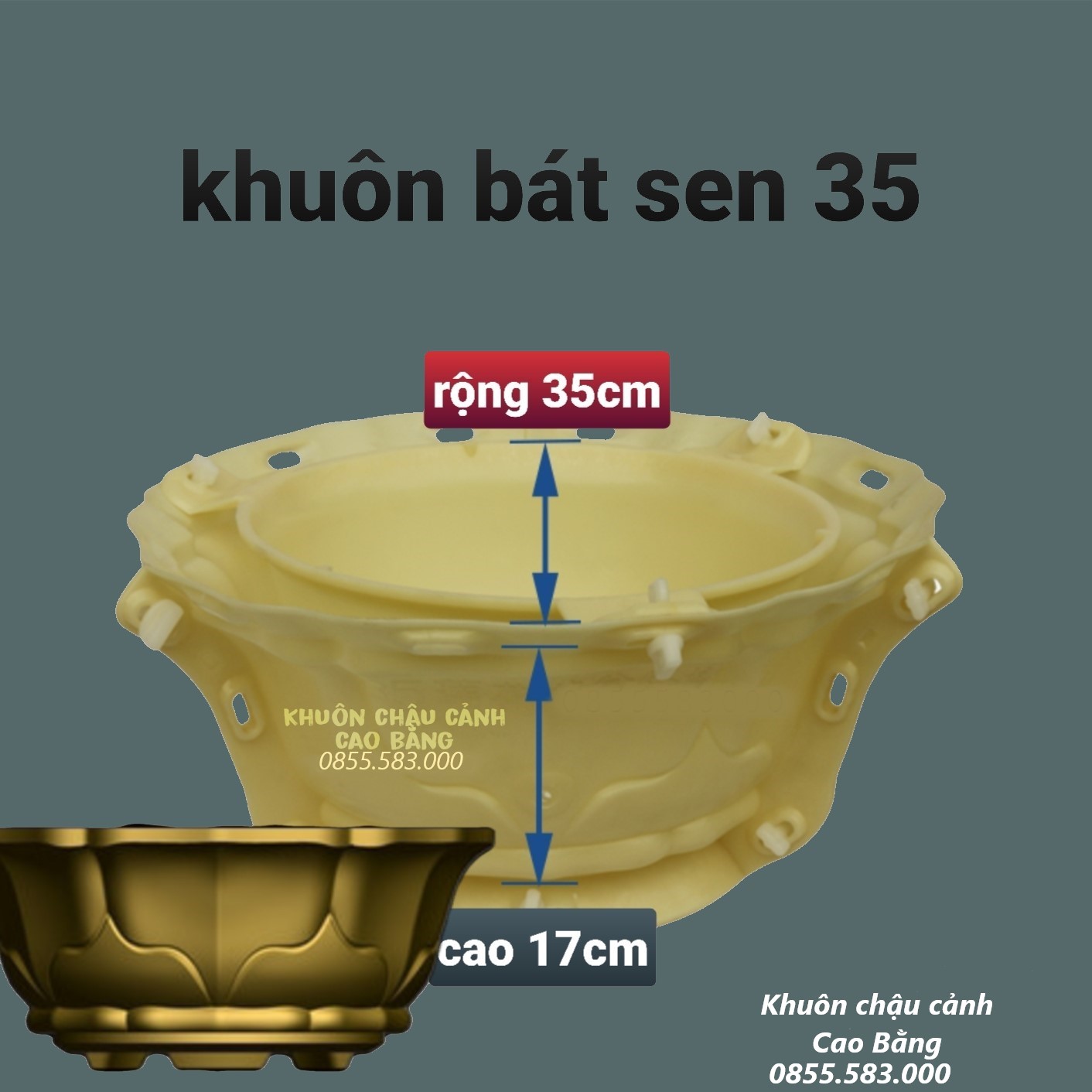 Khuôn đúc chậu cảnh bát sen 35 (khuôn chậu ABS có lòng trong)