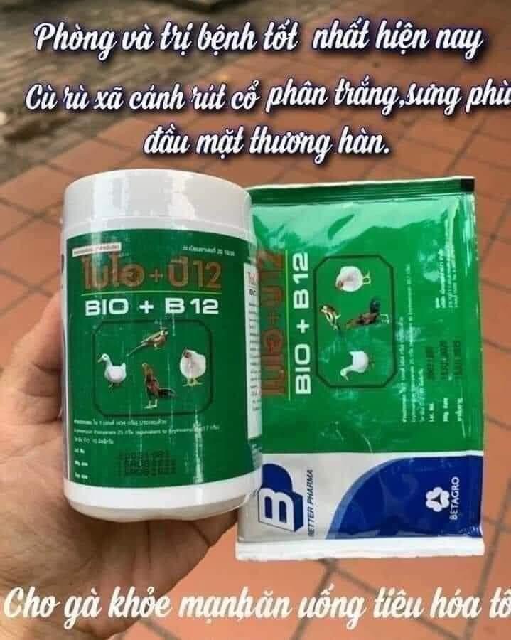 Úm gà con , vịt con - phòng dịch bệnh