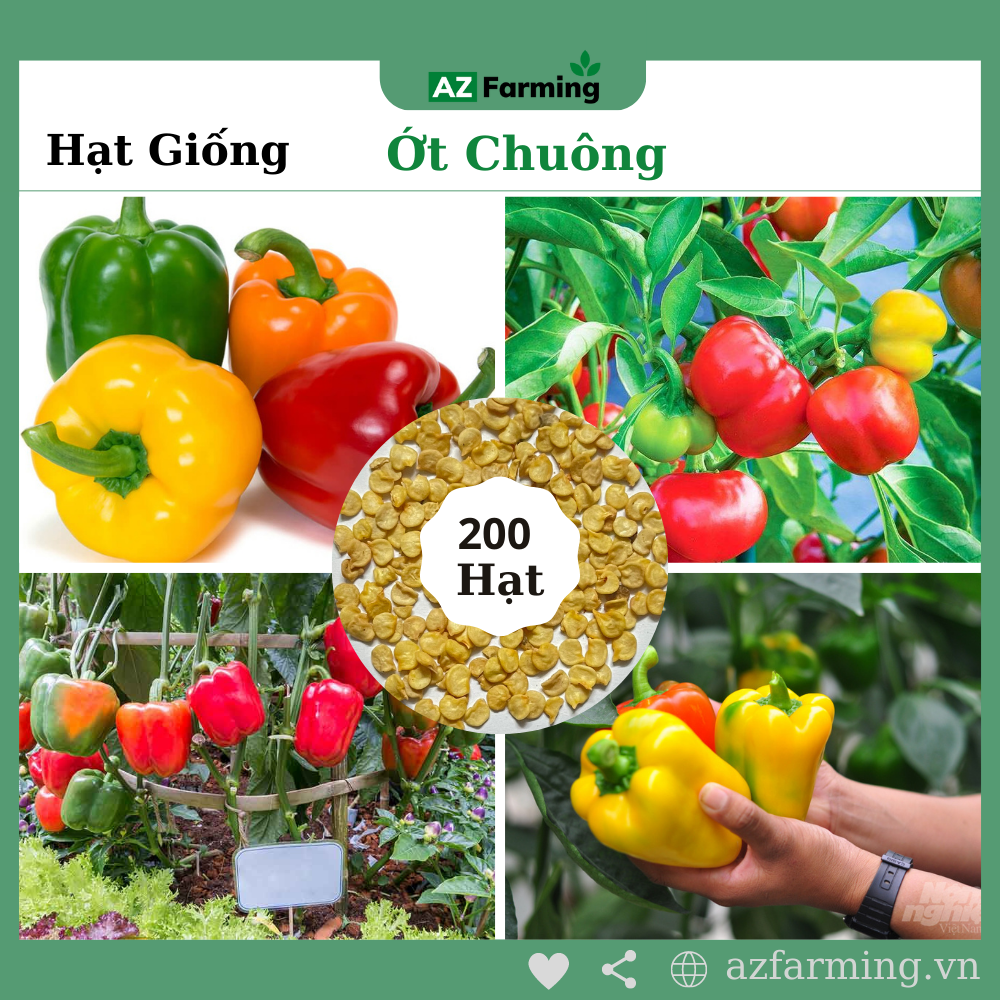 Hạt giống ớt chuông - gói 200 hạt - az farming