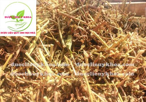 Cây lạc tiên dành cho người mất ngủ