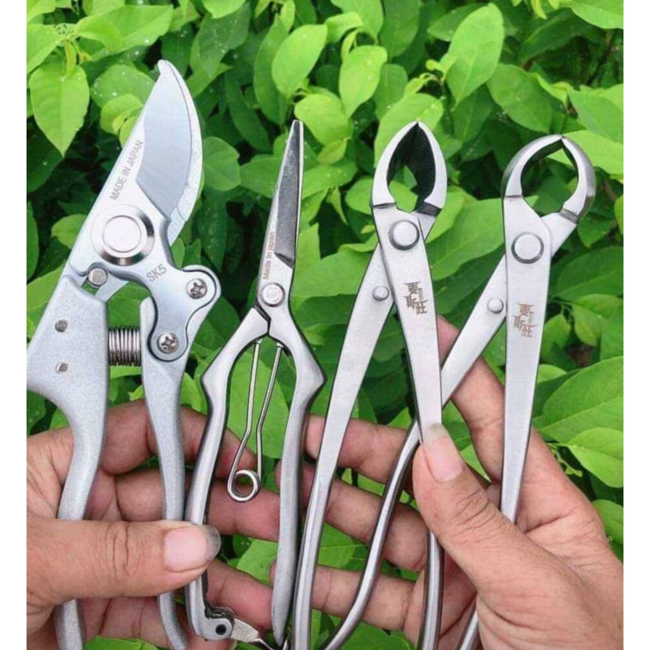 Bộ Kìm Cạp Kéo Cắt Tỉa ,Móc Sẹo Bonsai Thép Trắng Đúc