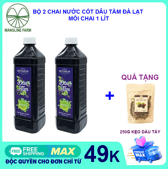 [FREESHIP 15K CHO ĐƠN 29K] Bộ 2 chai nước cốt dâu tằm Đà Lạt sạch (siro dâu tằm) nhà làm 1L đồ uống giải khát đẹp da mặt nguyên liệu hoàn toàn tự nhiên
