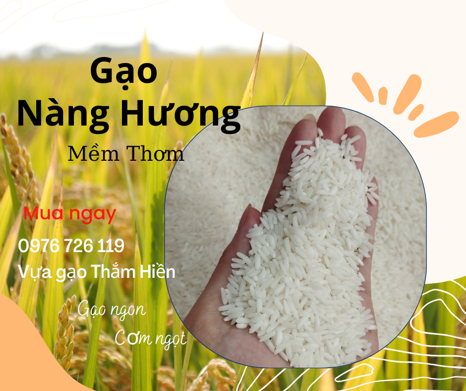 5kg gạo nàng hương - gạo mềm thơm - bena organic