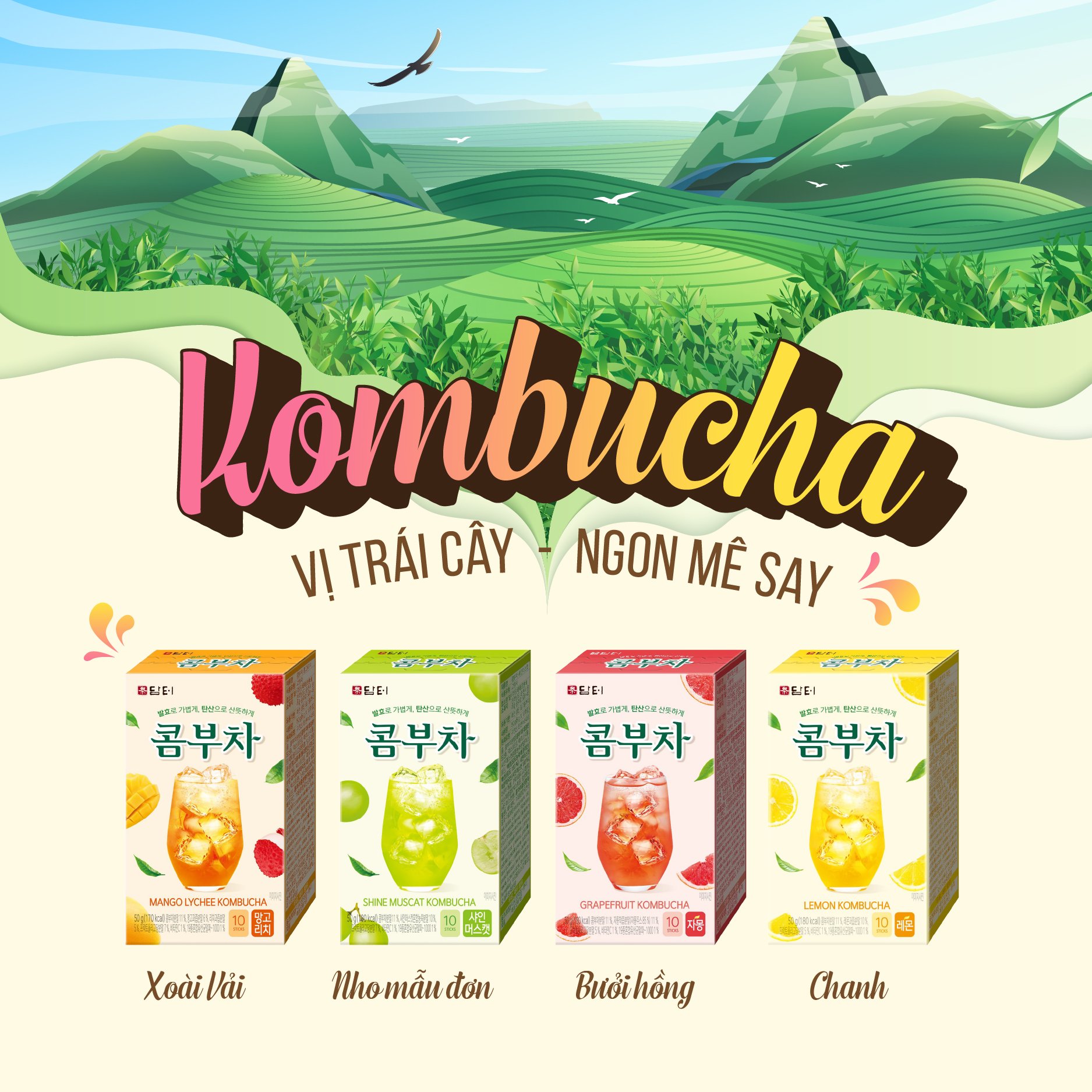 Trà Kombucha Damtuh Hàn Quốc Vị Trái Cây