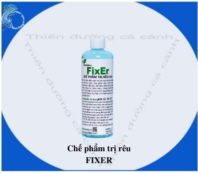Chế phẩm diệt rêu hại cho hồ cá FIXER