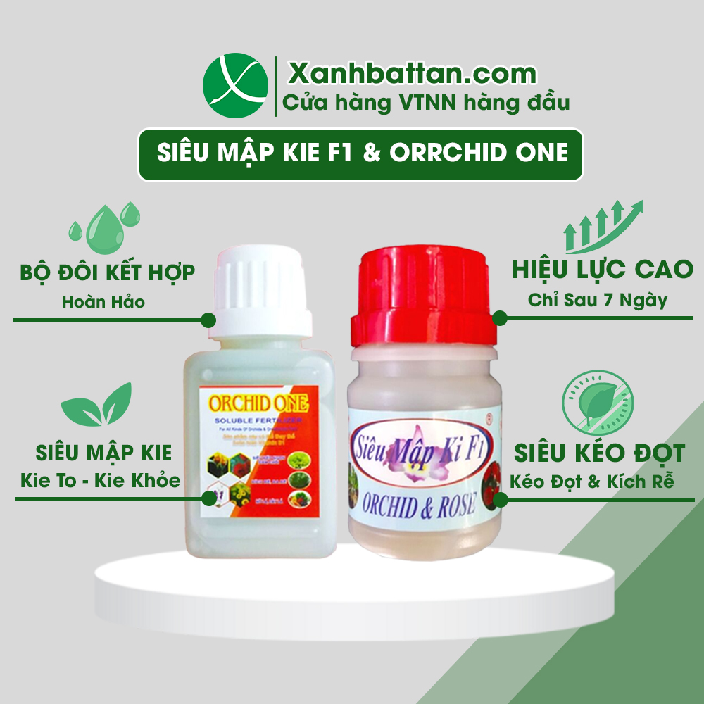 Bộ Đôi Siêu Kéo Đọt Orchid One và Mập Kei F1 Cho lan, giúp kéo dài đọt, kích rễ, làm mập kie cho tất cả các loại lan