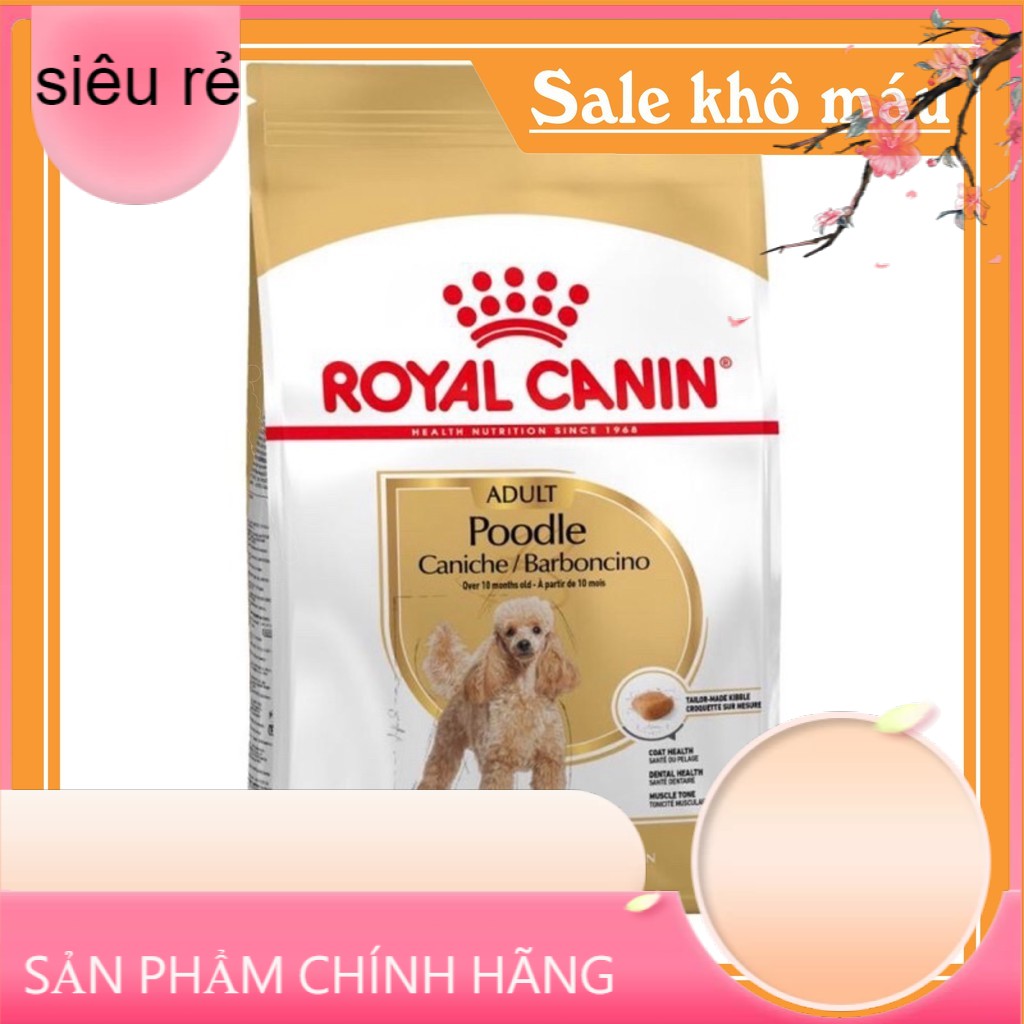 1.5kg Hạt chuyên cho Poodle chó lớn Cao Cấp Royal Canin Poodle adult